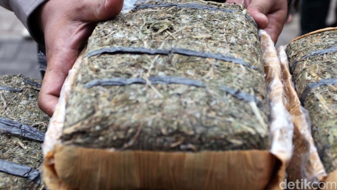 
 Otoritas Sri Lanka menyita 110 kg ganja yang dibawa oleh rombongan biksu asal Thailand di bandara internasional. (Foto: RSS)