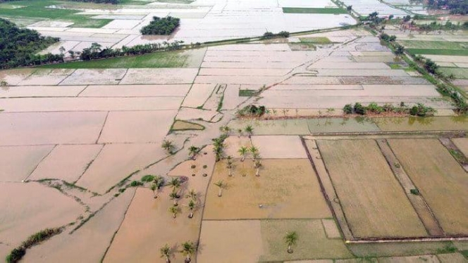 
 Sekretaris Jenderal Kemendagri Tomsi Tohir saat memberikan penegasan terkait evaluasi kinerja pejabat daerah dalam penanganan lahan pertanian di Sumatra. (Foto: RSS)