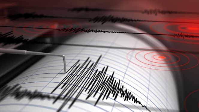 
 Peta pusat gempa magnitudo 4,5 yang mengguncang laut di timur laut Manokwari, Papua Barat. (Foto: RSS)